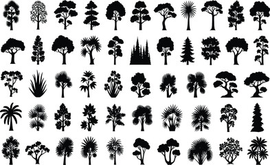 Tree silhouettes mega set, diverse forest, tropical, palm, conifer, and ornamental trees, black vector icons for landscaping and maps.