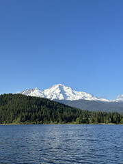shasta