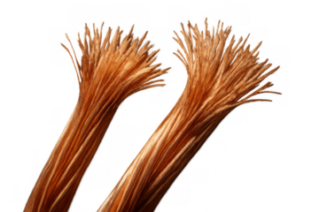 Copper wire strands showing electrical conductivity and connection, frayed metallic conductor detail on transparent background