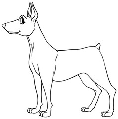 Cartoon vector outline of a standing dog with cropped ears and expressive eyes
