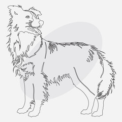 Minimalist continuous line vector illustration of a fluffy dog in standing pose

