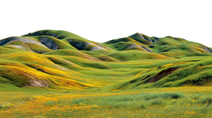 Rolling Hills Panorama: A vibrant landscape unfolds, where undulating hills cradle fields of flourishing yellow wildflowers and verdant green grass, showcasing the splendor of nature's artistry.