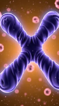 Chromosome Structure Visualization | 3D Microscopic Genetics Animation
