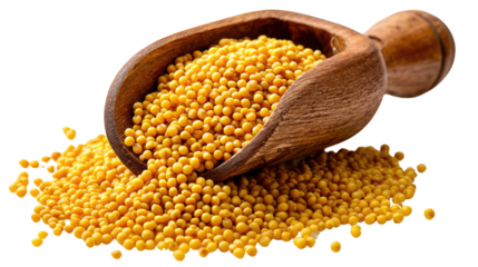 Mustard Seeds Harvest: A close-up view of a wooden scoop overflowing with golden mustard seeds, spilling onto a pile. Revealing the texture and warmth.