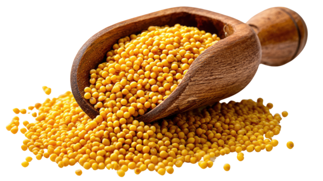 Mustard Seeds Harvest: A close-up view of a wooden scoop overflowing with golden mustard seeds, spilling onto a pile. Revealing the texture and warmth.