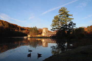 autumn in the park