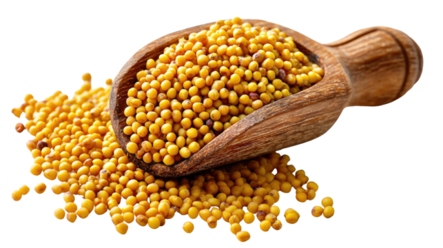 Golden Mustard Seeds: A close-up shot captures a heap of radiant yellow mustard seeds spilling from a wooden scoop, showcasing texture and detail of this staple ingredient.