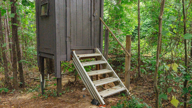 Stairs leading up to wooden hunting blind in forest 
