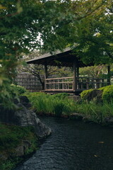 Fototapeta premium 和風