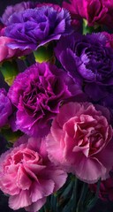 Close-up of vibrant purple and pink carnations