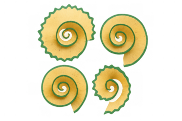 Pencil shavings creating spiral patterns, raw wood waste from sharpening, isolated with a transparent background