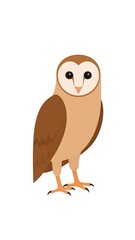 Cartoon owl standing, brown body, white face, black eyes, orange feet