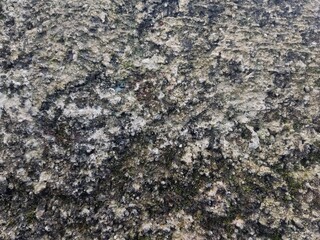 texture of wall