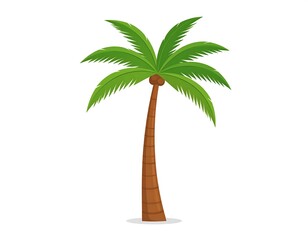 Cartoon palm tree with a brown trunk and green fronds against a white background