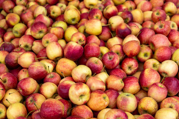 red apples in a market