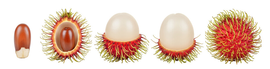 Isolated fresh rambutan, white background