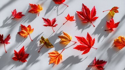 A pattern of red and orange maple leaves on a white background with shadows cast by the leaves.