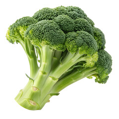 Broccoli isolated on white background