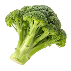Broccoli isolated on white background