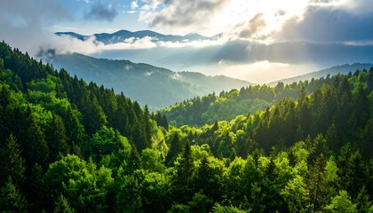 Lush, verdant mountain range, with sunlight breaking through the clouds. Forest covers slopes. Scene inspires tranquility