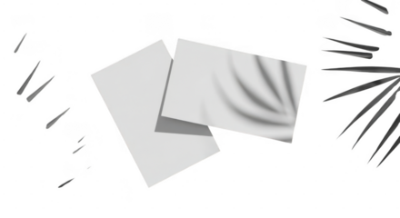 Modern overlapping gray cards with abstract drapery and leaf shadows isolated on transparent background