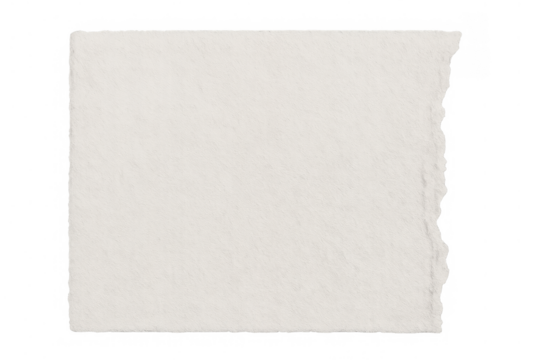 Blank torn paper piece with textured surface and ripped edges for custom messages on transparent background