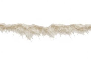 Torn beige fibrous paper strip featuring a rough, ragged edge and natural texture on a transparent background