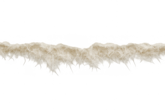 Torn beige fibrous paper strip featuring a rough, ragged edge and natural texture on a transparent background