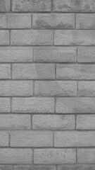 Fototapeta premium CA Camarillo Cinder Block Color Wall V B&W 2025