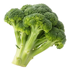 Broccoli isolated on white background