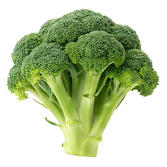 Broccoli isolated on white background