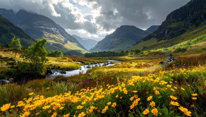 Stunning landscape of mountains, river and field of yellow flowers under cloudy sky