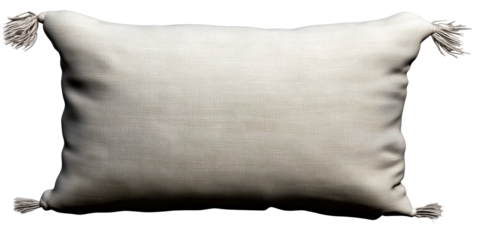 Neutral textured throw pillow with corner tassels on white
