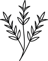 Fresh Herbs and Sprigs Line Art on White Background Transparent Background