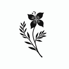 Black Silhouette of a Flower with Berries and Leaves