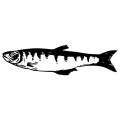 Black and White Fish Icon