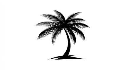 Fototapeta premium A black and white silhouette of a palm tree against a white background.