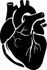 Human Heart Anatomical Silhouette Vector Illustration