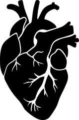 Human Heart Anatomical Silhouette Vector Illustration