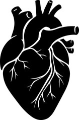Human Heart Anatomical Silhouette Vector Illustration