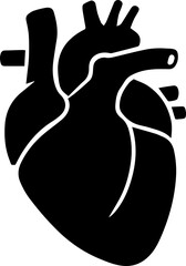 Human Heart Anatomical Silhouette Vector Illustration