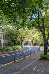 【縦写真】六本木のけやき坂通り