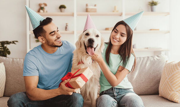 A man and woman sit on a couch wearing party hats, smiling with a happy golden retriever. They are celebrating an occasion with a gift wrapped in red ribbon on the man's lap.