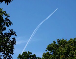 Clear blue sky with a vapor trail and framing foliage