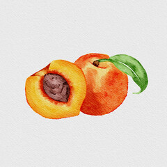 ripe peach on a white background