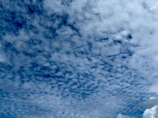 Full frame background texture of mid-level altocumulus or cirrocumulus clouds in a mackerel sky pattern, showing atmospheric conditions.
