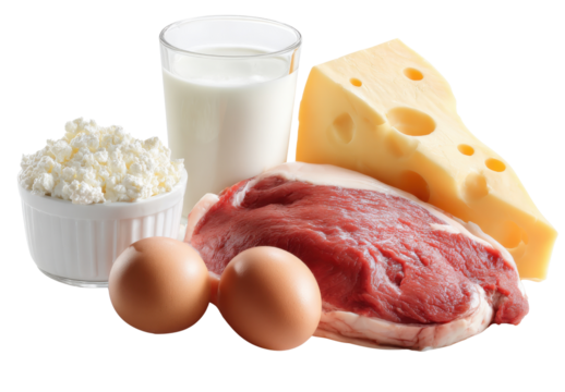 Essential Nutrients: An array of nutrient-rich foods, including dairy, meat, and eggs, arranged to highlight the fundamental building blocks of a balanced diet.