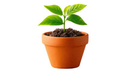 New Beginning: A young plant sprouts from rich soil in an earthenware pot, symbolizing growth, new beginnings, and the nurturing of potential.