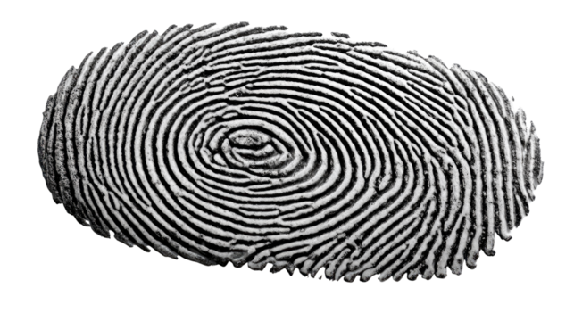 Intricate Fingerprint Detail: Capturing the unique intricacies of a single fingerprint, revealing a pattern of individual ridges and swirls, it's a testament to the uniqueness of an individual.