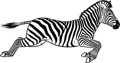 Dynamic line art vector illustration of a running zebra in full stride, showcasing bold stripes and motion, ideal for wildlife, safari, or African-themed graphic design projects. © Nahl